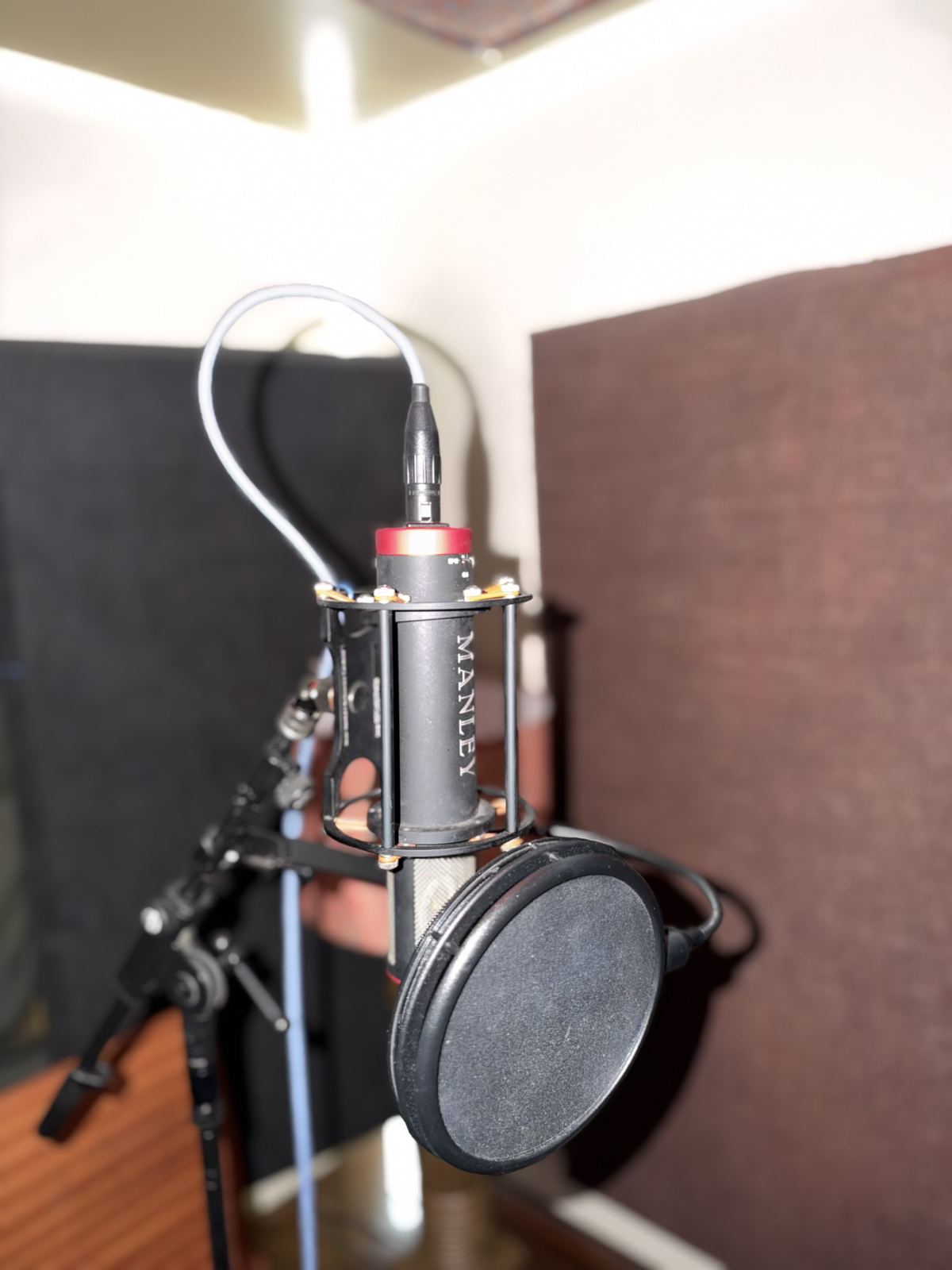Booth A — Manley microphone