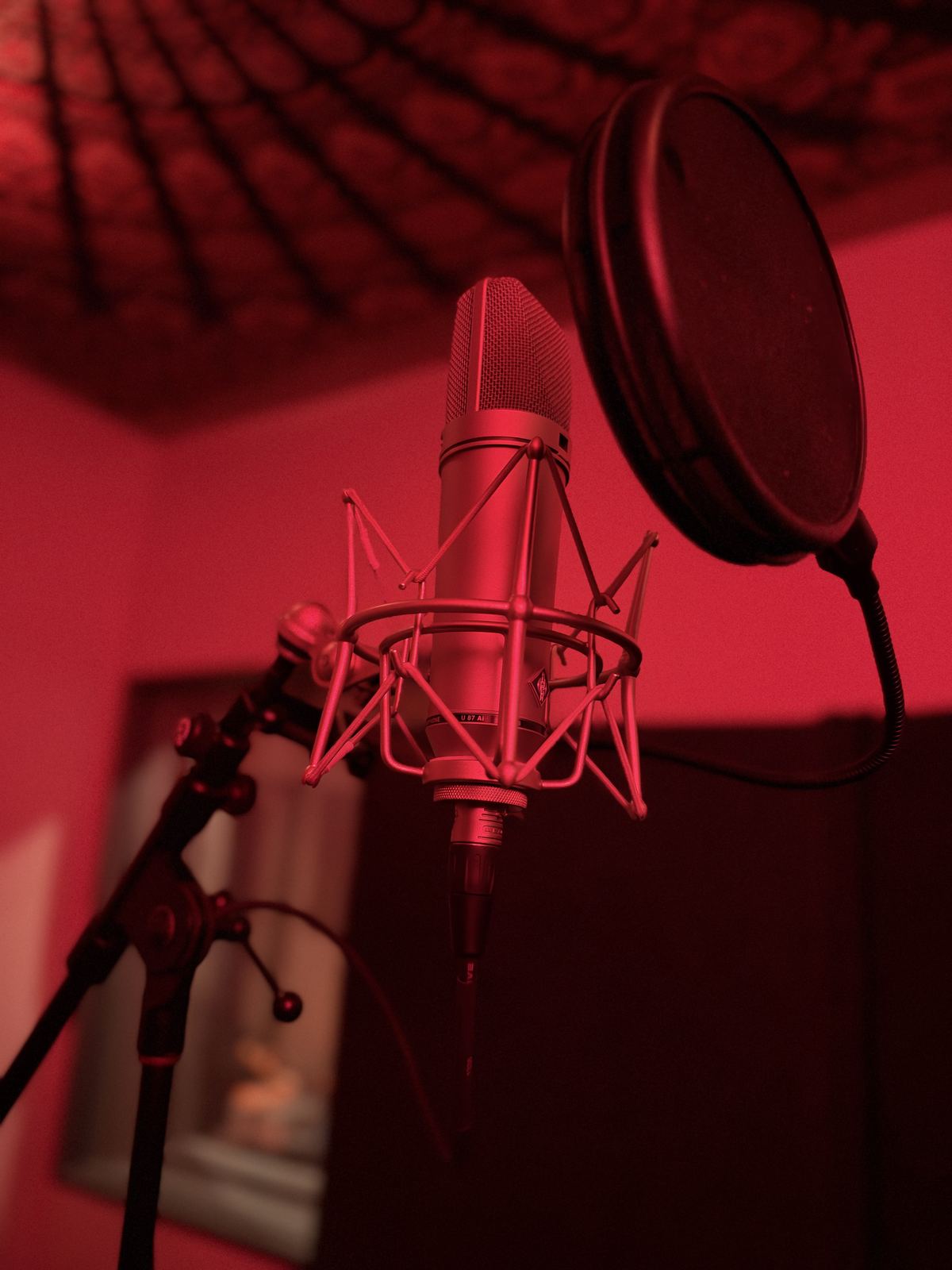 Booth B — condenser microphone